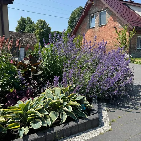 U Piotrusia אכסניה